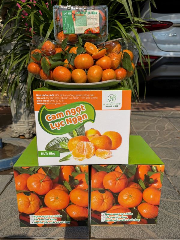 Cam ngọt Lục Ngạn - Hợp Tác Xã Dịch Vụ Nông Nghiệp Hằng Hiếu